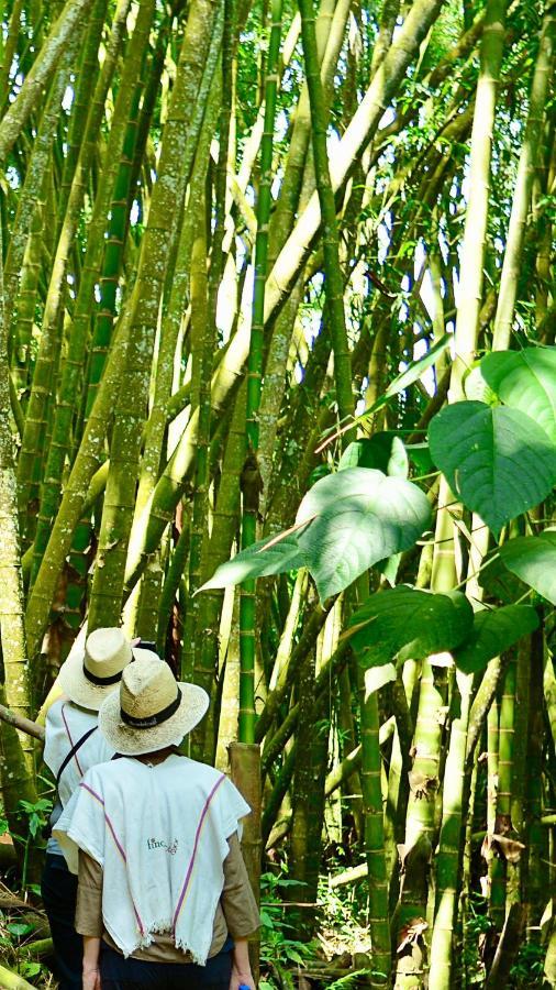Finca Del Cafe - Casa Typica サンタ・ロサ・デ・カバル エクステリア 写真
