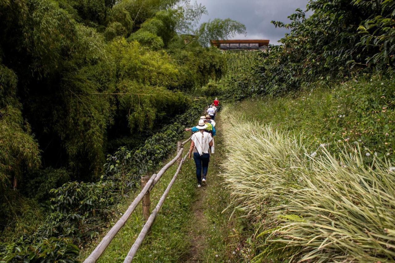 Finca Del Cafe - Casa Typica サンタ・ロサ・デ・カバル エクステリア 写真